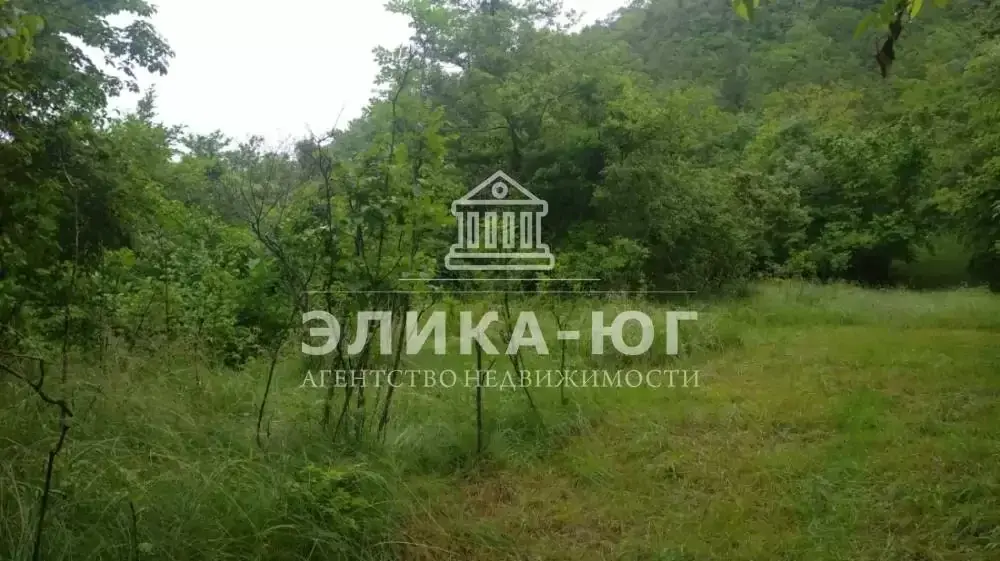 Продажа участка, Ольгинка, Туапсинский район, Ореховая роща ул. - Фото 4