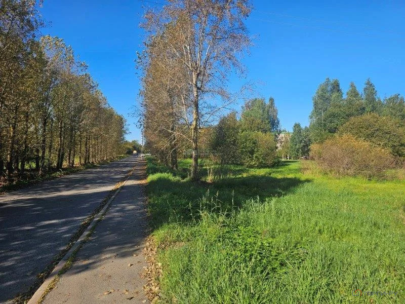 Продажа участка, Пушкин, Петербургское ш. - Фото 6