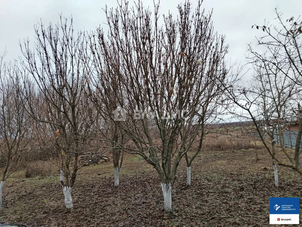 Продажа дома, Лопатино, Скопинский район, ул. Центральная - Фото 13