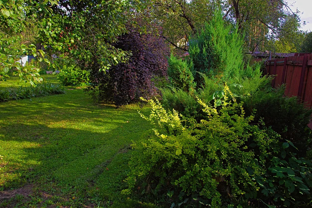 Продажа участка, Загорянский, Щелковский район, улица Николая Озерова - Фото 4