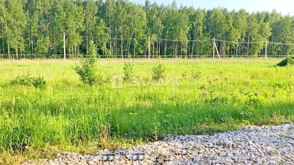 Раменский городской округ, деревня Аргуново,  земля на продажу - Фото 0