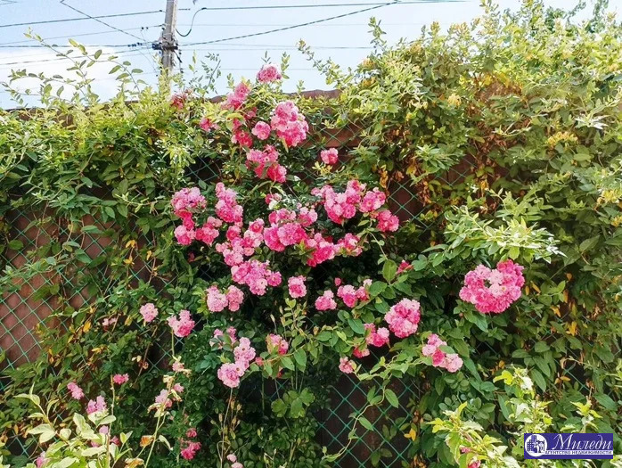 Продажа дома, Батайск, Первомайская улица - Фото 6