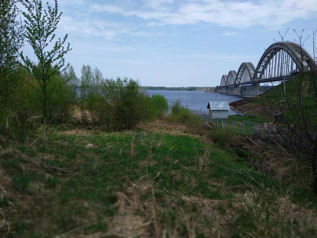 Поселок волга. Поселок Волга Некоузский район Ярославская область. Некоузский район станция Волга Ярославской области. Мост поселок Волга. Некоузский район мост через Волгу.