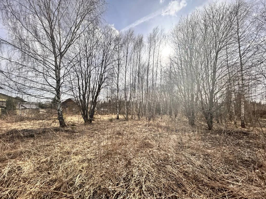 Продажа участка, Дмитровский район - Фото 7