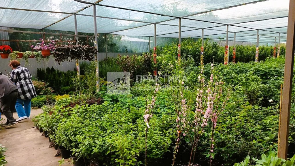 Продажа ПСН, Балашиха, Балашиха г. о., Щелковское ш. - Фото 15