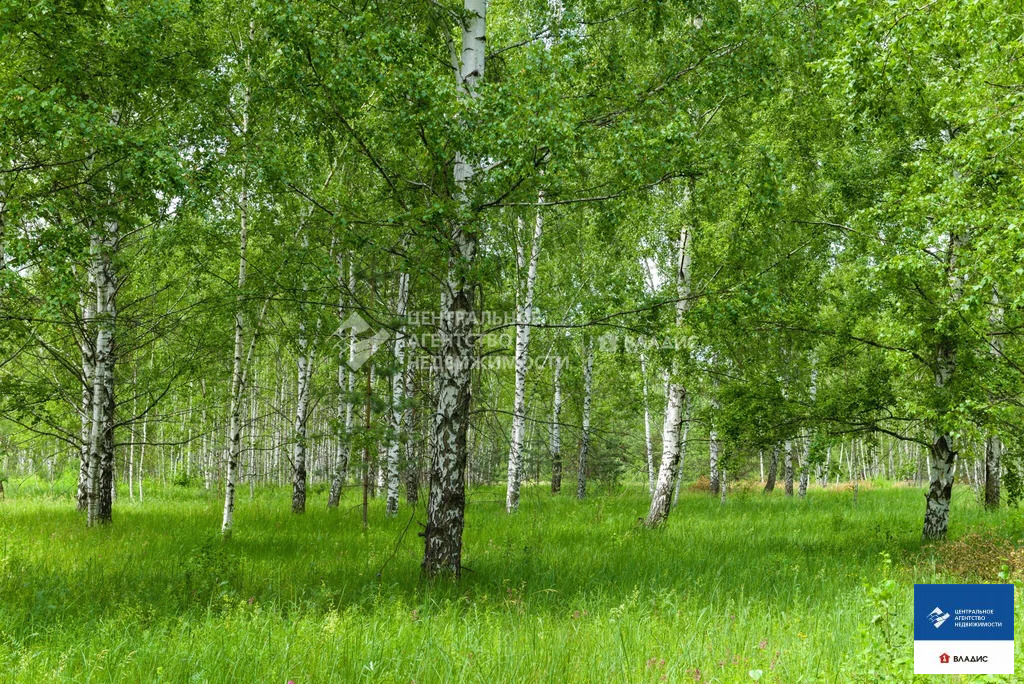 Продажа участка, Рязанский район - Фото 3