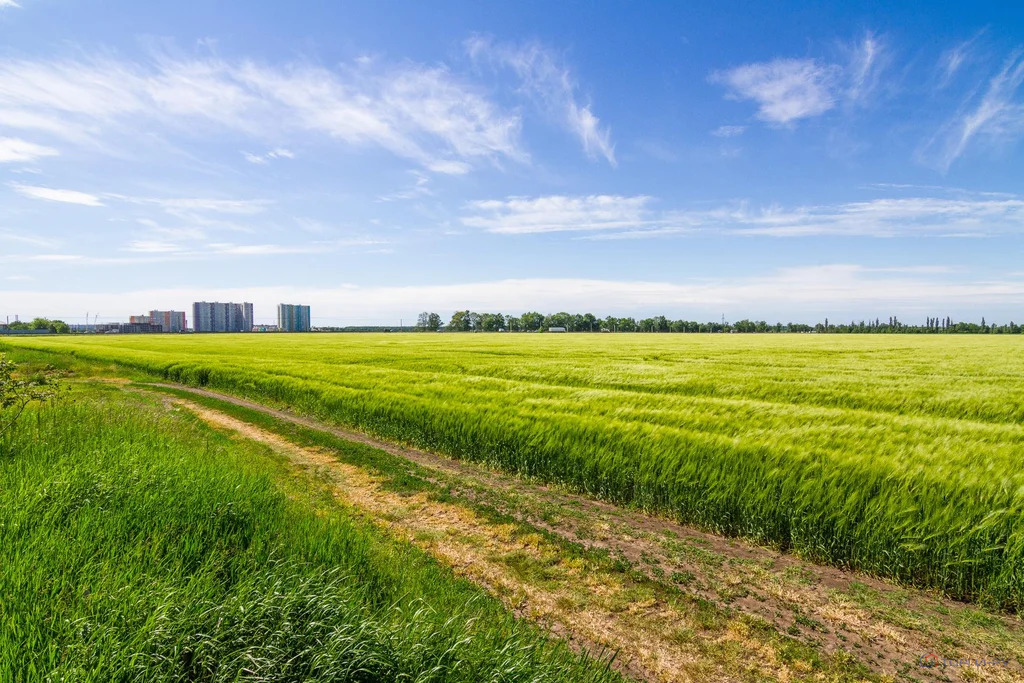 Продажа земельного участка, Знаменский - Фото 3