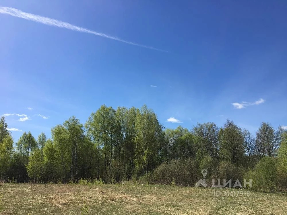 Участок земельный новгород. Д Гремячки Богородского района Нижегородской области. Деревня Гремячка Нижегородская область Богородский район. Д. Гремячки, Богородский р-он. Гремячки Богородский район озеро.