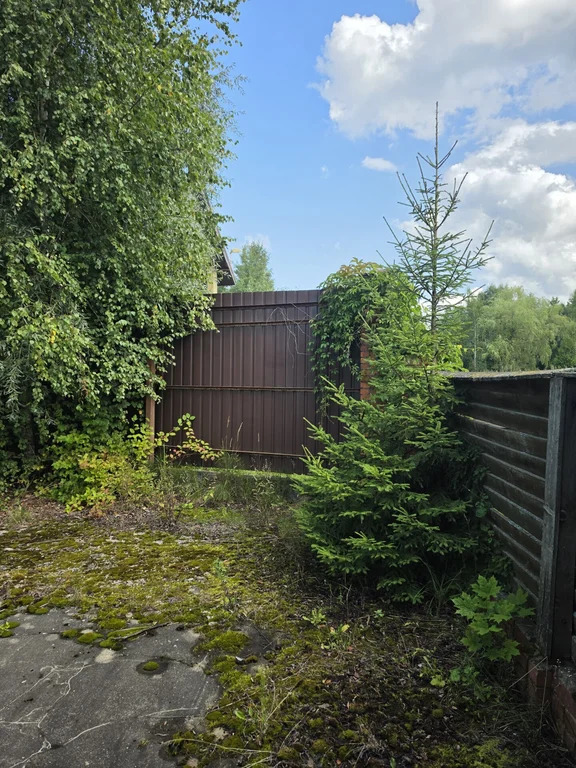 Продажа участка, Владычино, Волоколамский район - Фото 8
