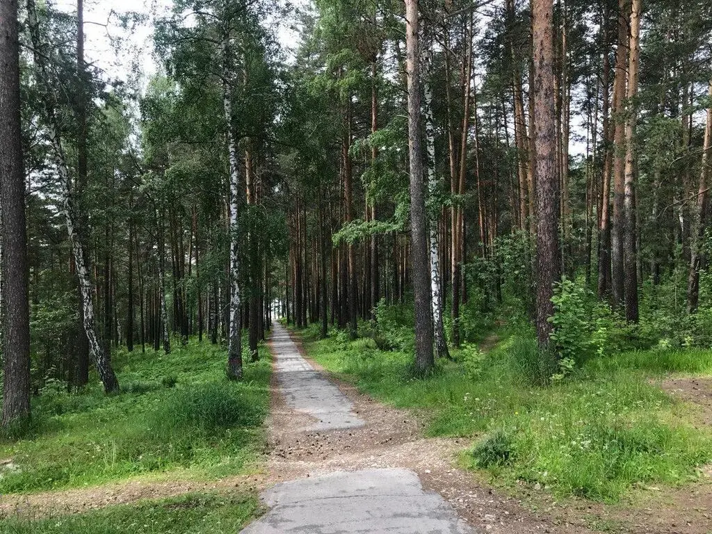 Продам земельный участок в лесной зоне г.Дегтярск - Фото 3