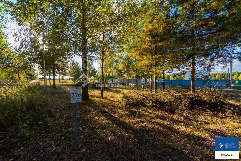 Продажа участка, Рязанский район - Фото 3