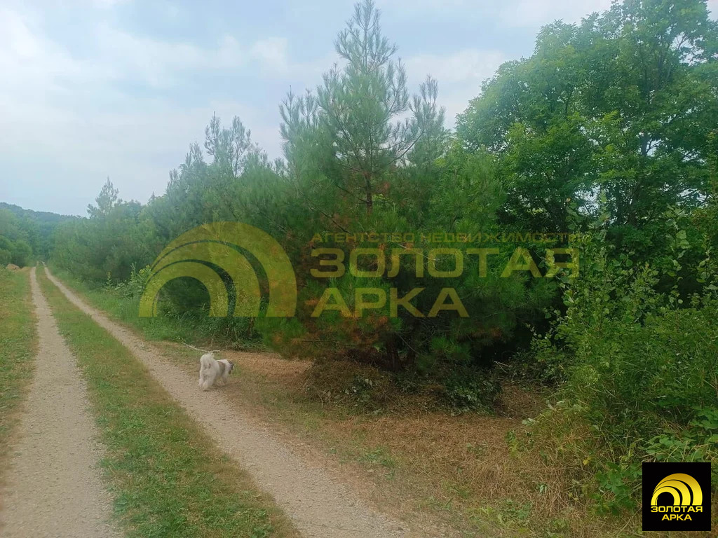 Продажа участка, Чибий, Северский район - Фото 13