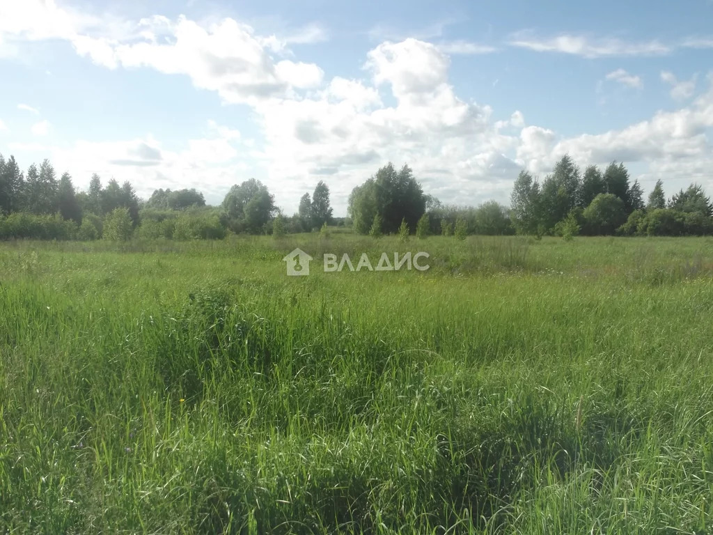 Судогодский район, поселок Муромцево,  земля на продажу - Фото 1