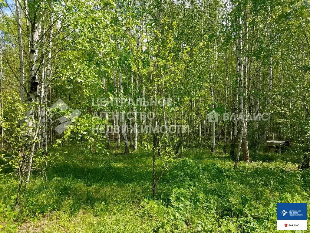Продажа дома, Спасский район, садоводческое товарищество Весна-2 - Фото 15
