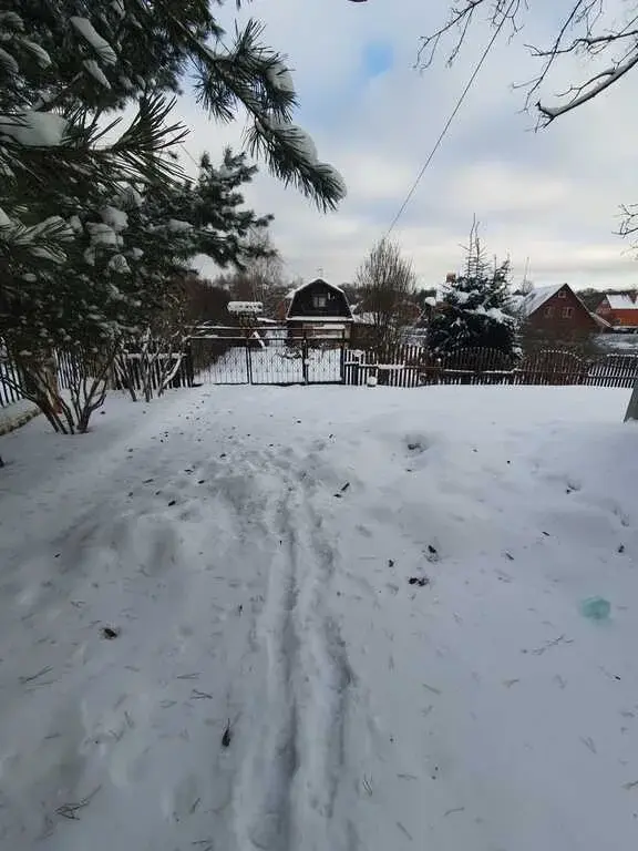 Земельный участок в д. Рычково - Фото 1