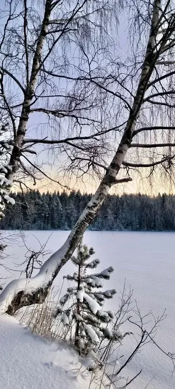 Сдам коттедж на берегу озера - Фото 13