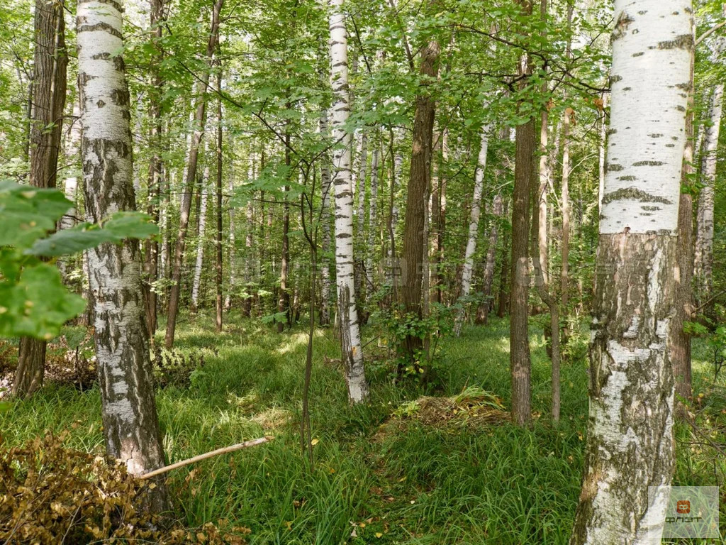 Продажа участка, Шигали, Высокогорский район, ул. 1-ая Полевая - Фото 11