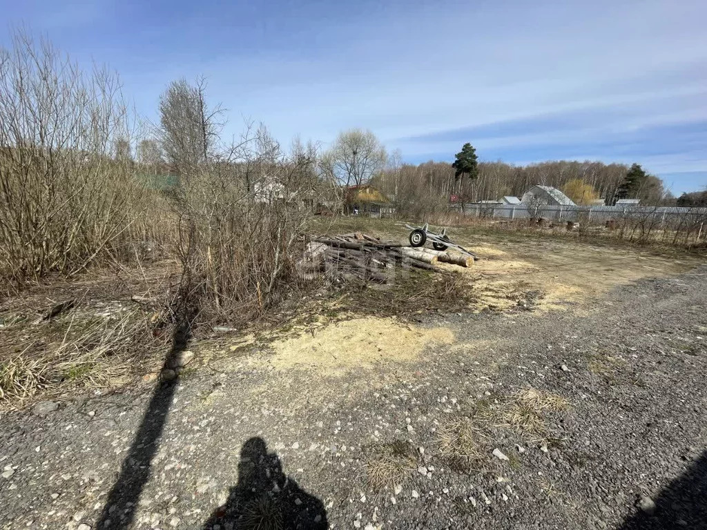 Продажа участка, Богородский г. о, Деревня Пушкино, 8 - Фото 0