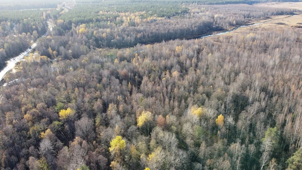 Продажа участка, Барышево, Выборгский район - Фото 14