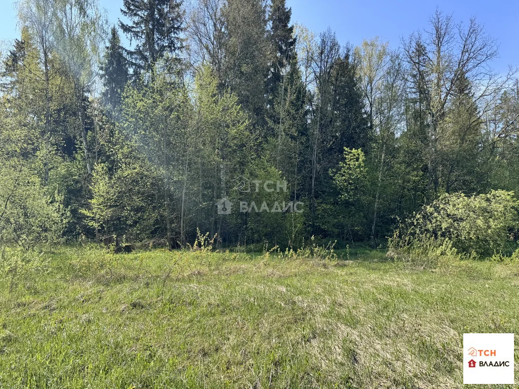 Продажа участка, Могильцы, Лотошинский район - Фото 0