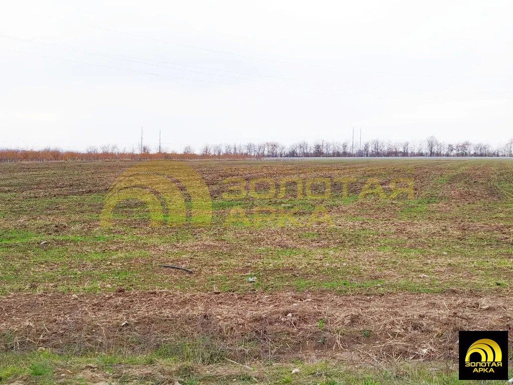 Продажа участка, Старотитаровская, Темрюкский район, Ильича пер. - Фото 12