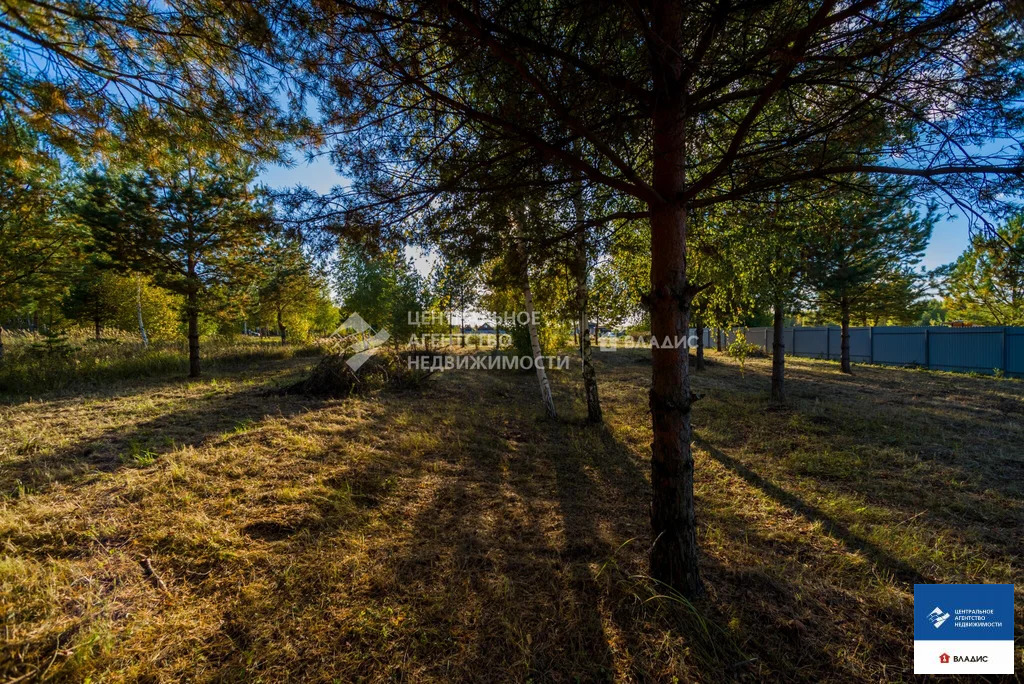 Продажа участка, Рязанский район - Фото 4