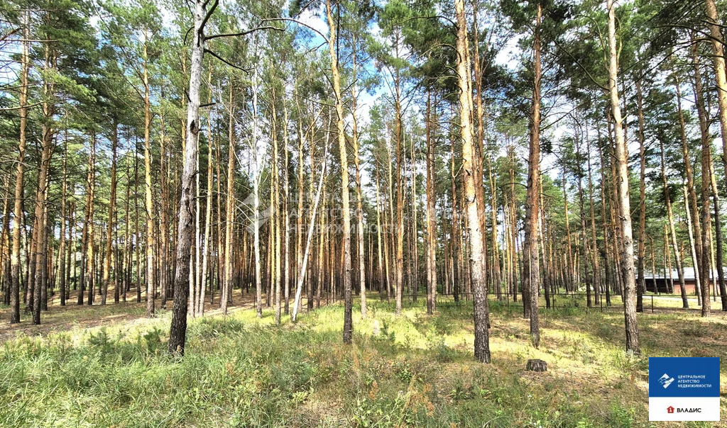 Продажа участка, Рязанский район - Фото 3