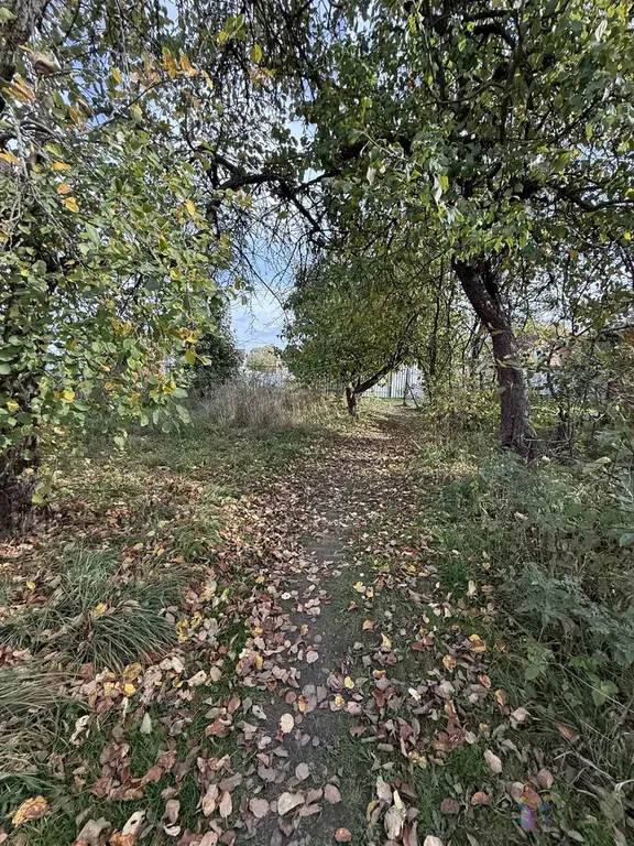 Продам участок 12 соток с. Щапово Ступинский район. - Фото 9