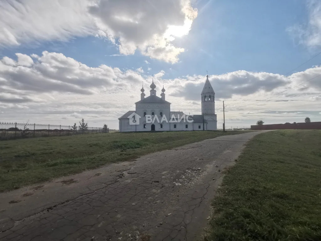 Суздальский район, село Менчаково, Центральная улица,  дом на продажу - Фото 38