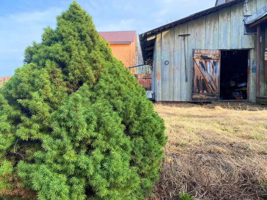 Дом в деревне Цаплино - Фото 36