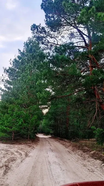 Дача в СНТ Здоровье - Фото 21