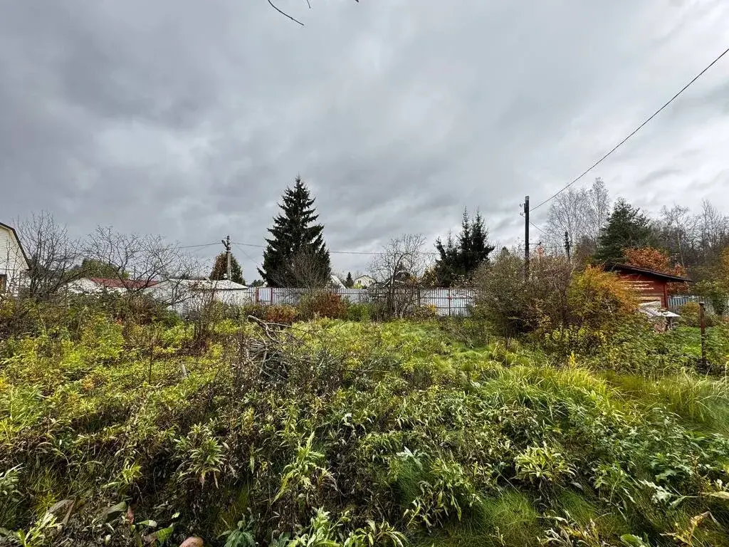 Дача 46 м2 на участке 12 сот. - Фото 5