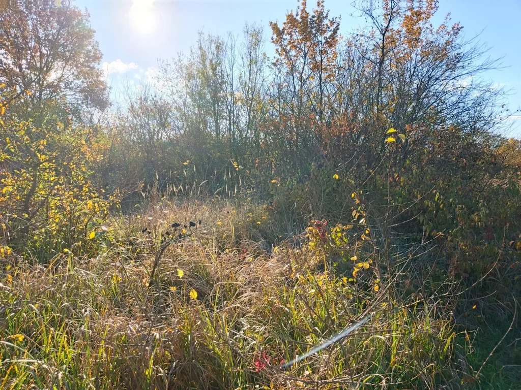 Продажа участка, Северский район - Фото 4