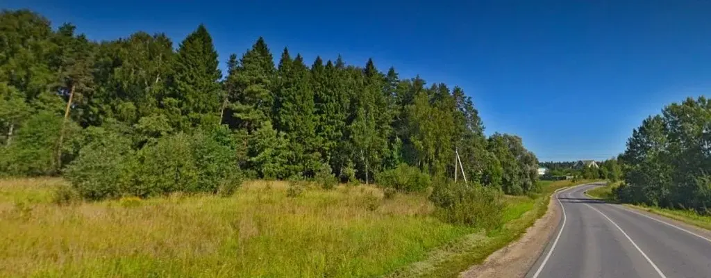 Большой Лесной участок для застройки (сосны, ели) - Фото 5