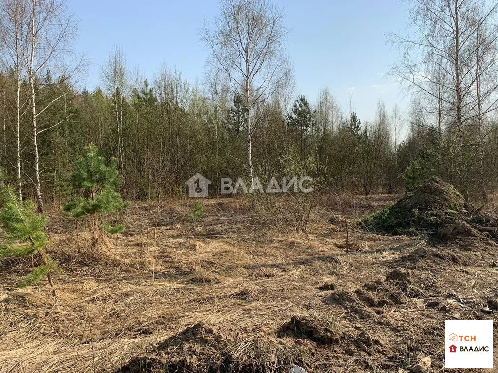 Продажа участка, Щелковский район - Фото 4