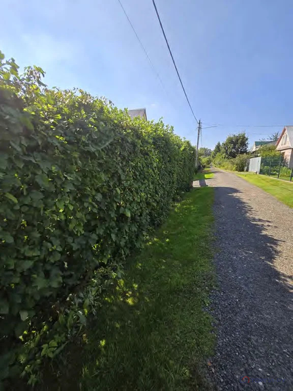 Продажа дома, Дмитровский район, СНТ Труд - Фото 11