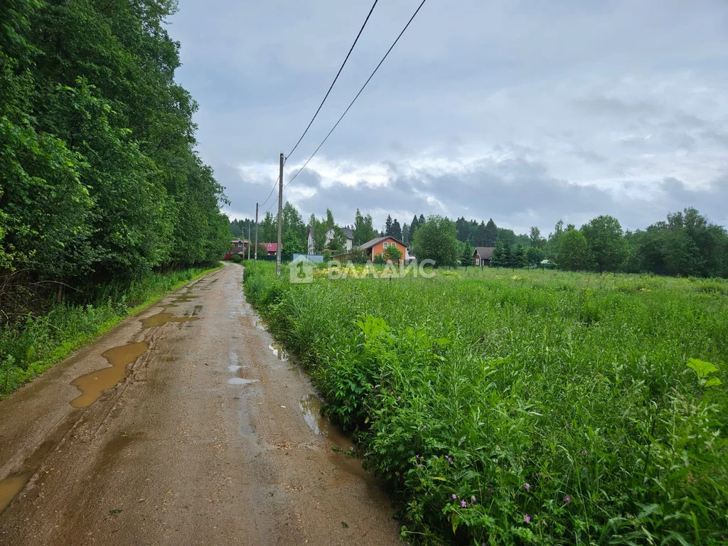 городской округ Клин, деревня Елино,  земля на продажу - Фото 1