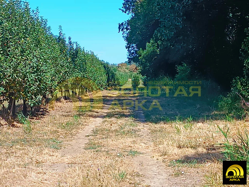 Продажа участка, Покровский, Абинский район - Фото 32