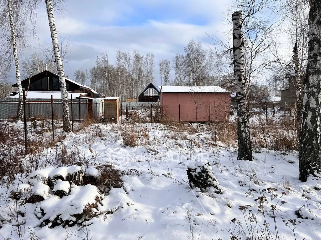 Продажа дома, Марусино, Новосибирский район, Березовая ул. - Фото 26