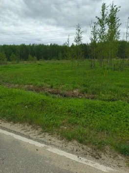 Земельный участок - Фото 5