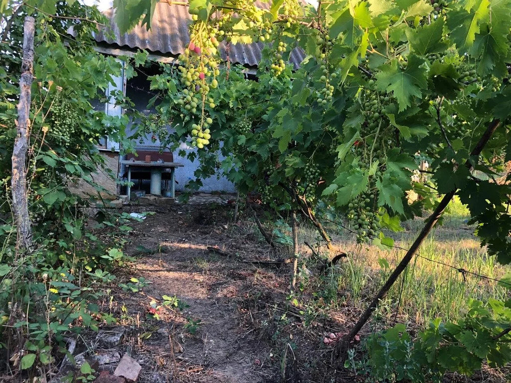 Продажа участка, Южный Склон, Темрюкский район, ул. Тимирязева - Фото 3