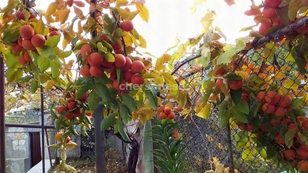 Продажа дома, Севастополь, ул. Мечникова - Фото 18