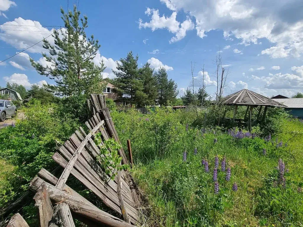 Участок 6 сот. (СНТ, ДНП) - Фото 5