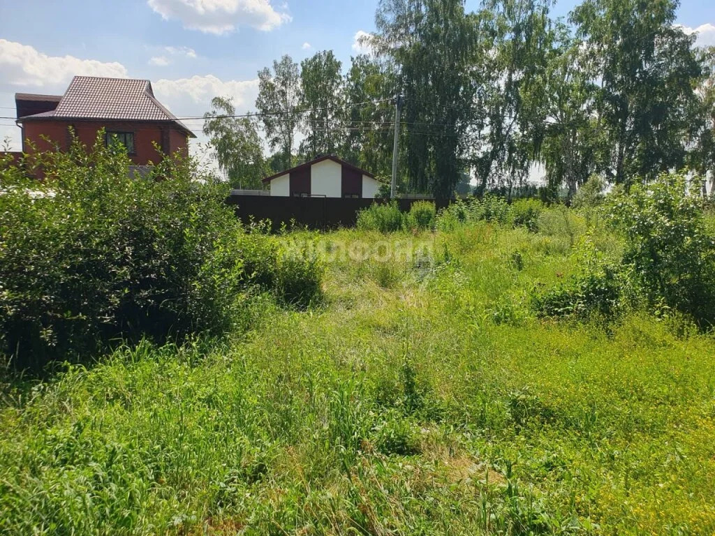 Продажа дома, Марусино, Новосибирский район - Фото 14