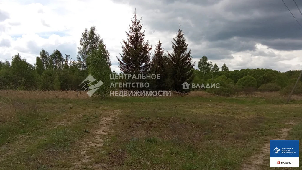 Продажа дома, Велье-Родионовка, Спасский район - Фото 3