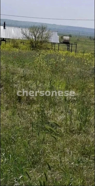 Продажа участка, Береговое, улица Новосёловская - Фото 3