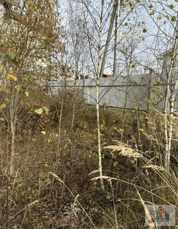 Участок 8 сот. (ИЖС) - Фото 6