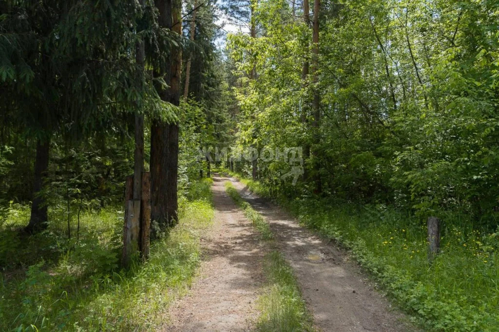 Продажа дома, Бердск, снт Дружба - Фото 19