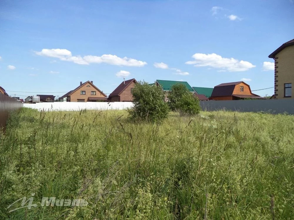 Деревня большое петровское