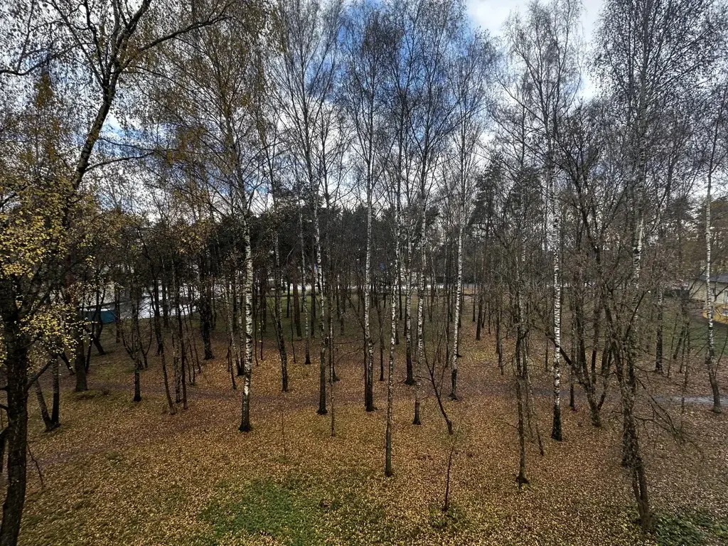 2-комнатная квартира - Фото 7